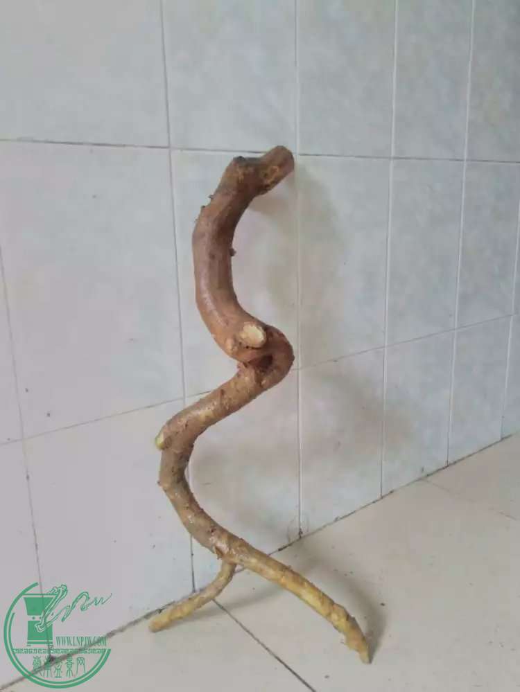 72.jpg
