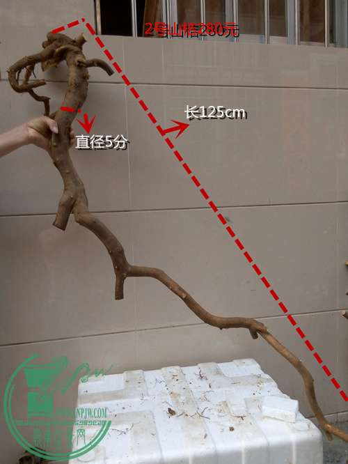 P60409-175746_.jpg