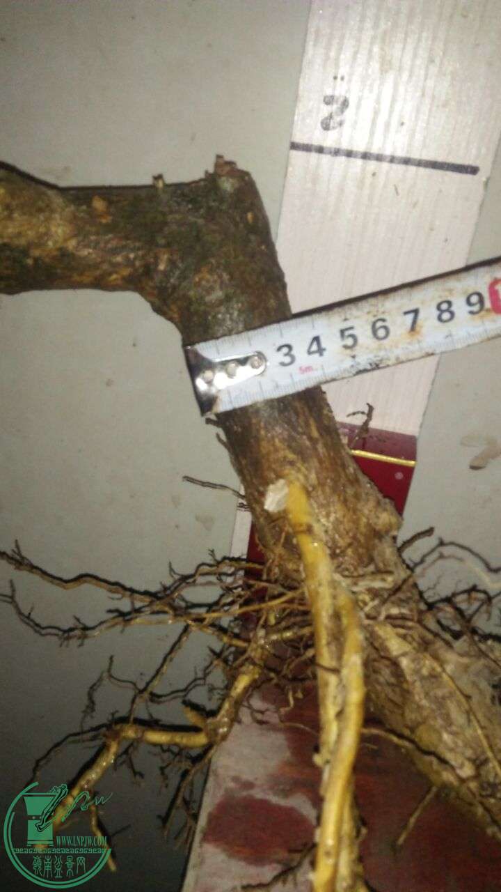 QQͼƬ20160409202908.jpg