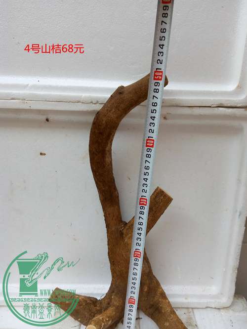P60409-163109_.jpg