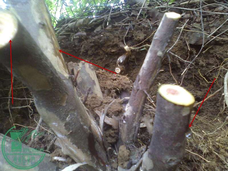 IMG0410120700.jpg
