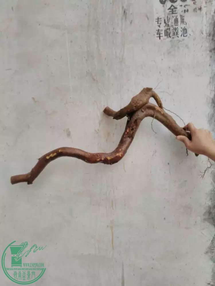 102.jpg