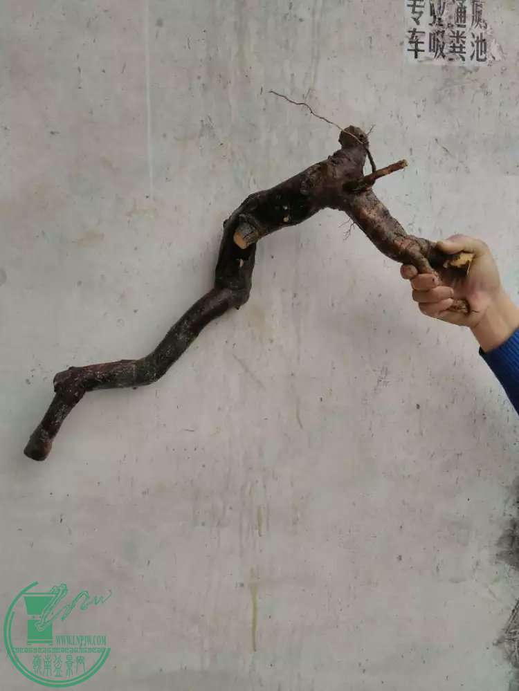 109.jpg