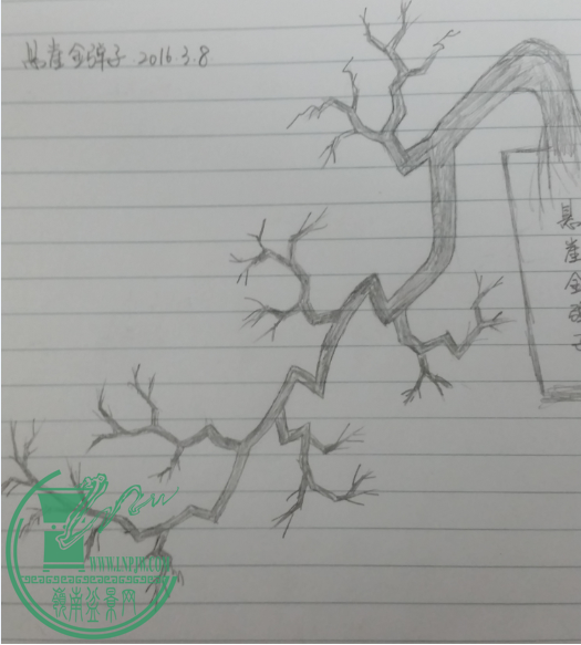 ½1.png