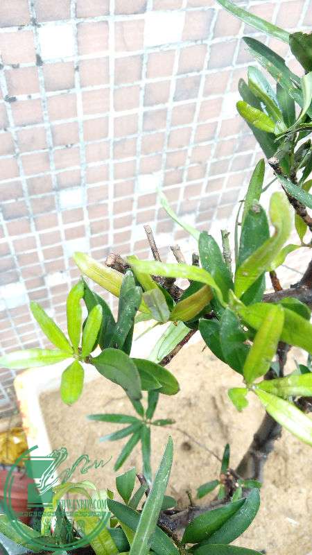 IMG_20160411_130858.jpg