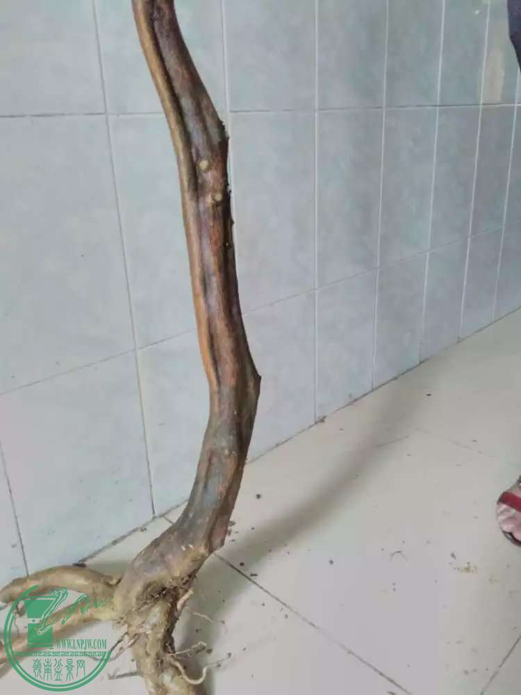 124.jpg