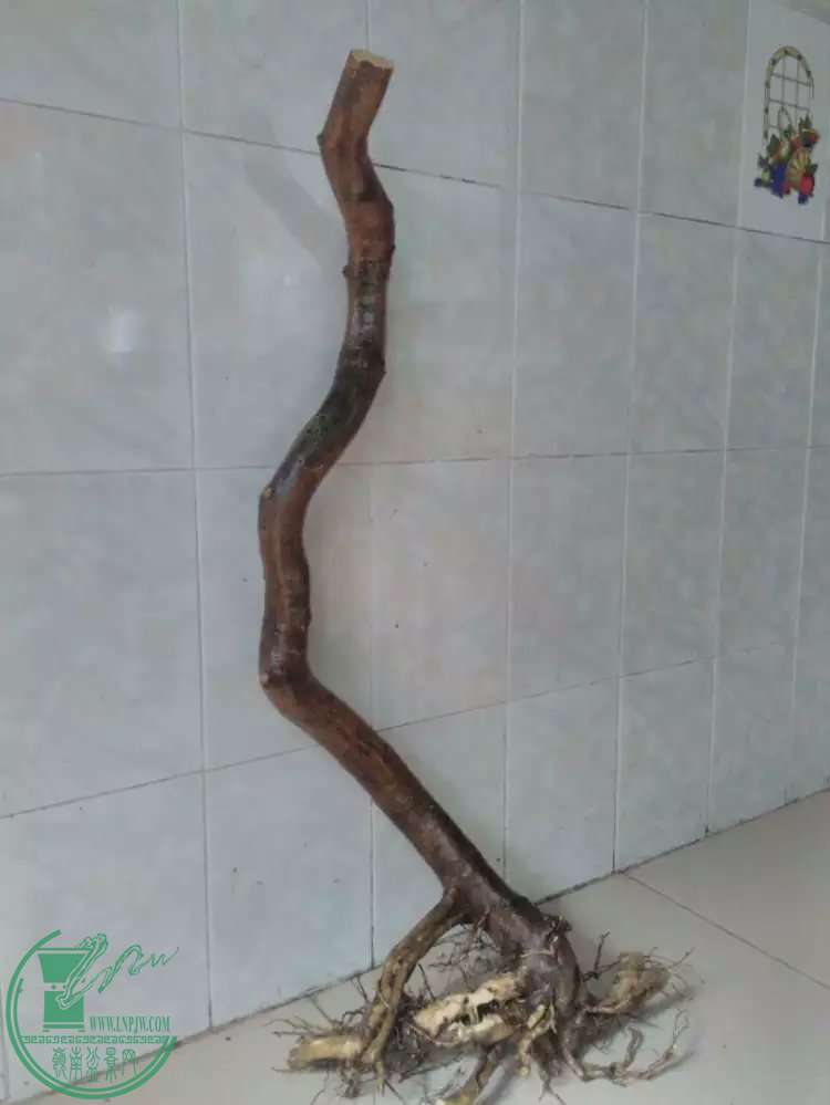 123.jpg
