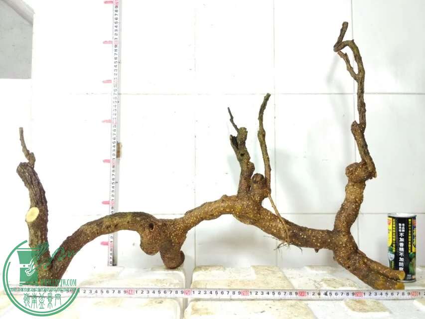 psb (9).jpg