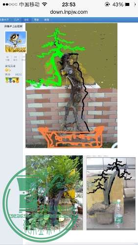 image.jpg