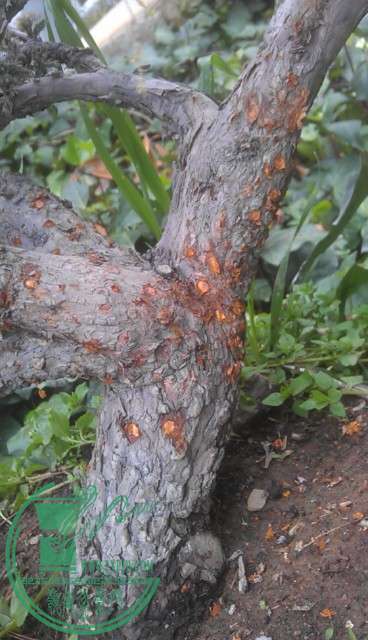 IMAG0580.jpg