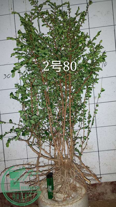782978