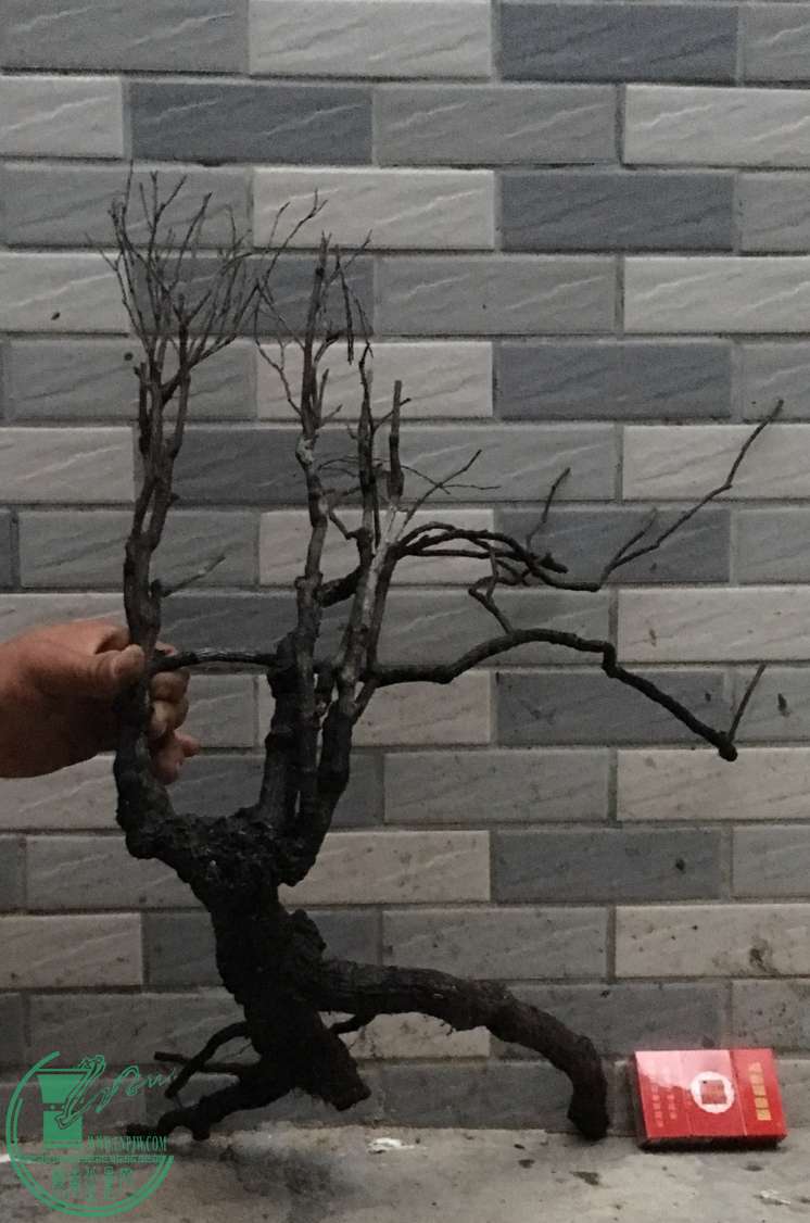 image.jpeg