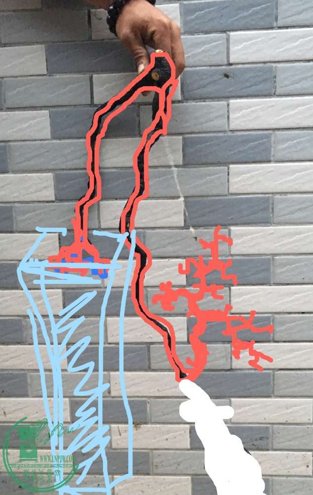 image.jpeg