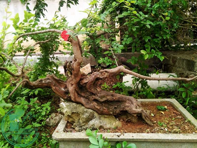 QQͼƬ20160413084441_conew1.jpg