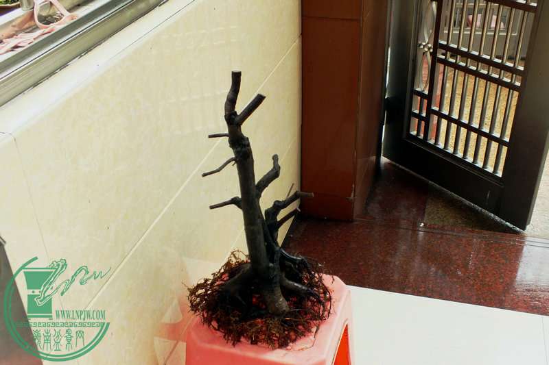 DSCF2751.JPG