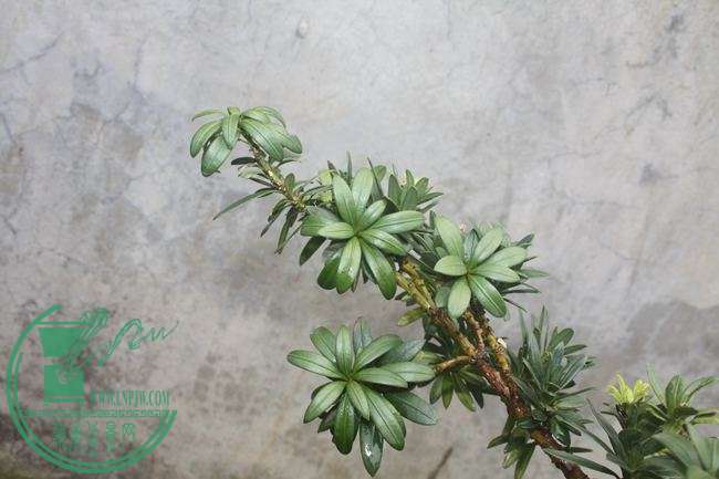 Ƭ20131026ۺ 1213.jpg