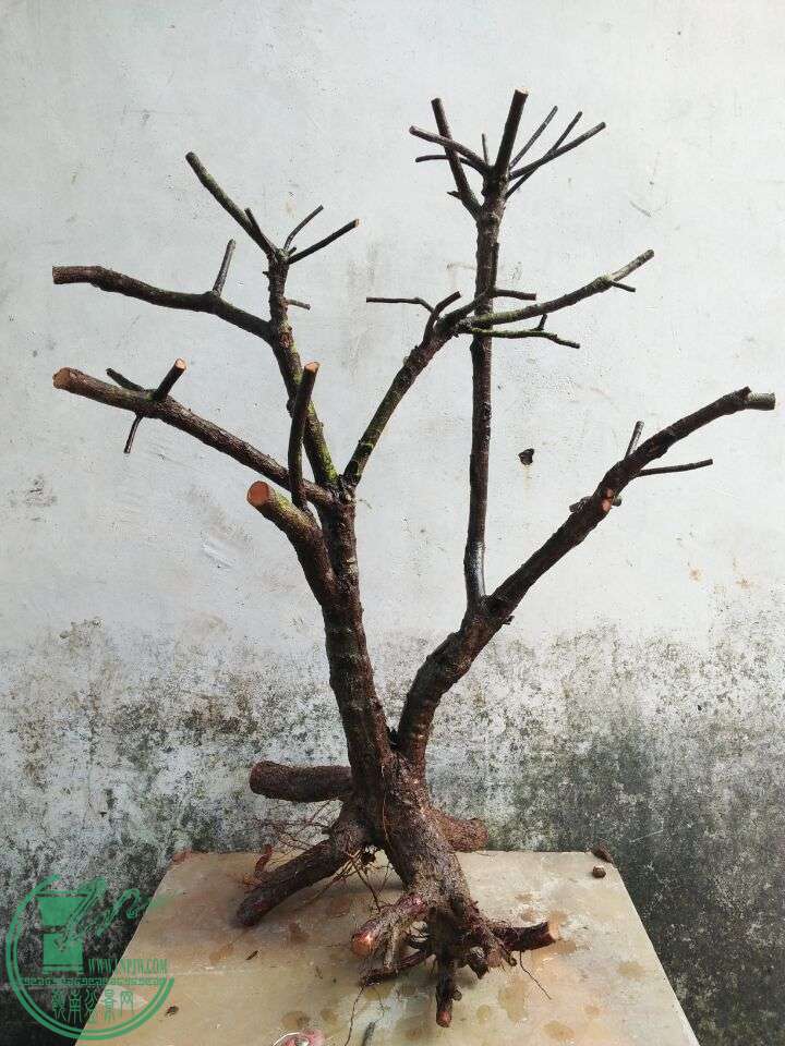QQͼƬ20160413201648.jpg