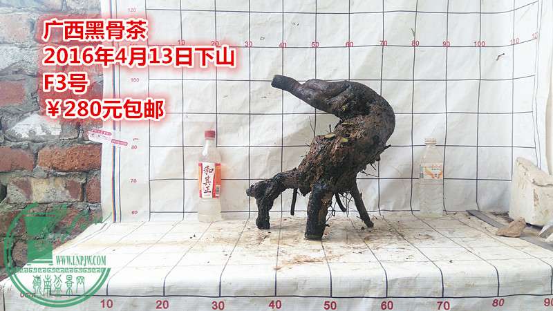 IMG_20160413_143915_.jpg