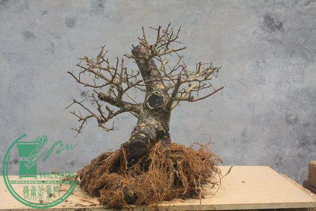 Ƭ20131026ۺ 1224.jpg