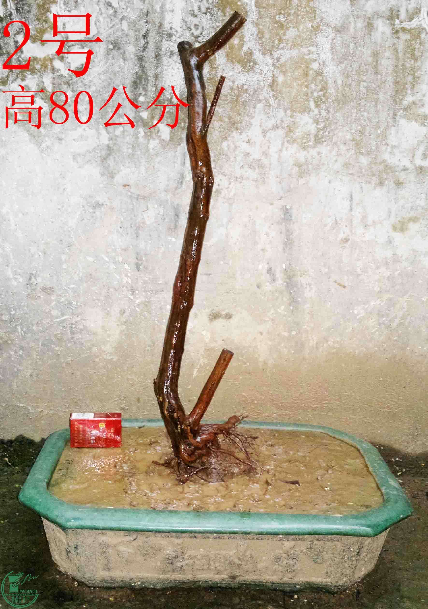 2016041414710.jpg