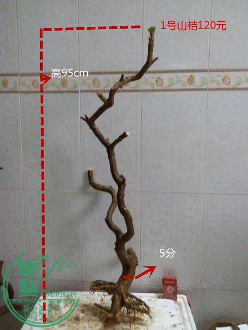 P60414-172155_.jpg