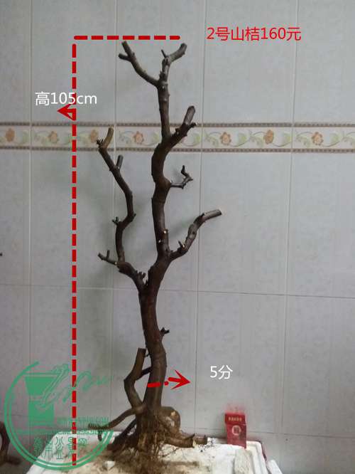 P60414-172513_.jpg