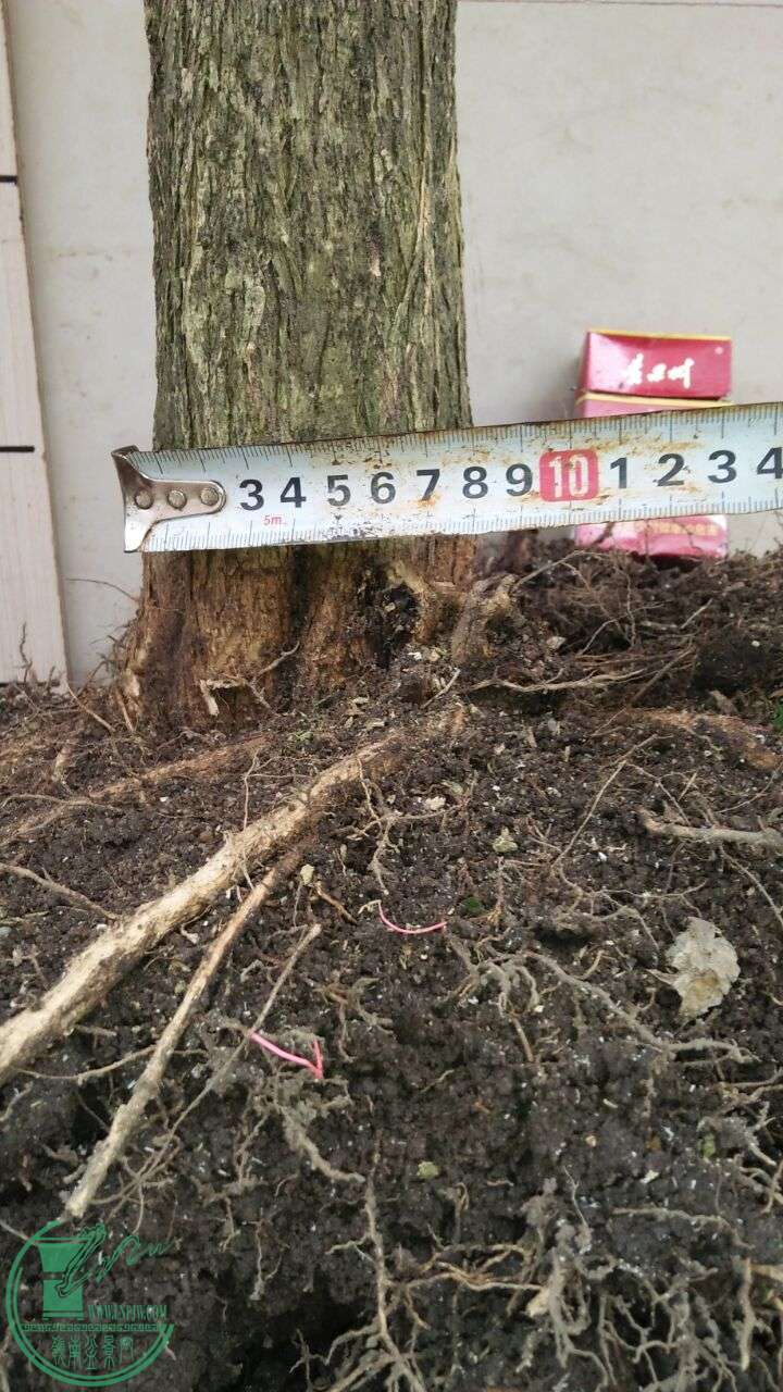 QQͼƬ20160414193611.jpg