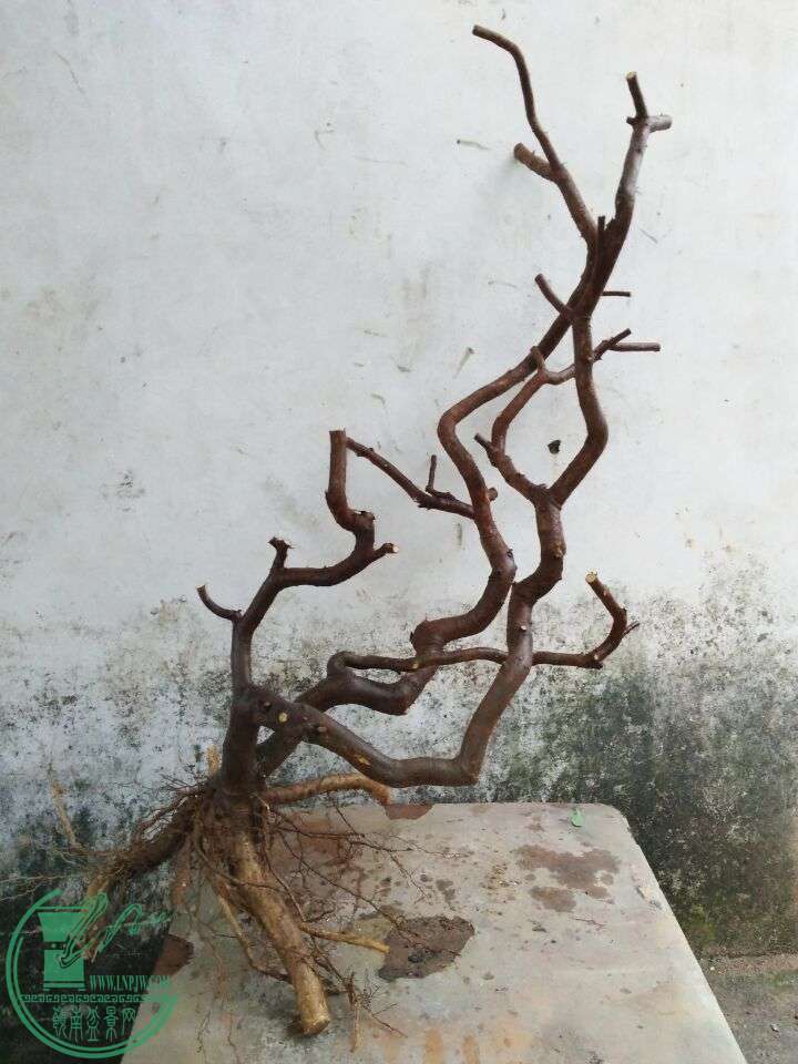 D5E85F781FD89D9A71DFAE37643EC01E.jpg