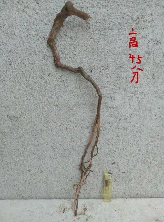 ɽľ