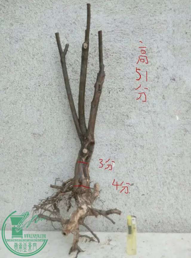 psbU7BT648Q.jpg