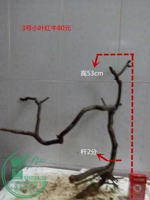 P60416-172900_.jpg