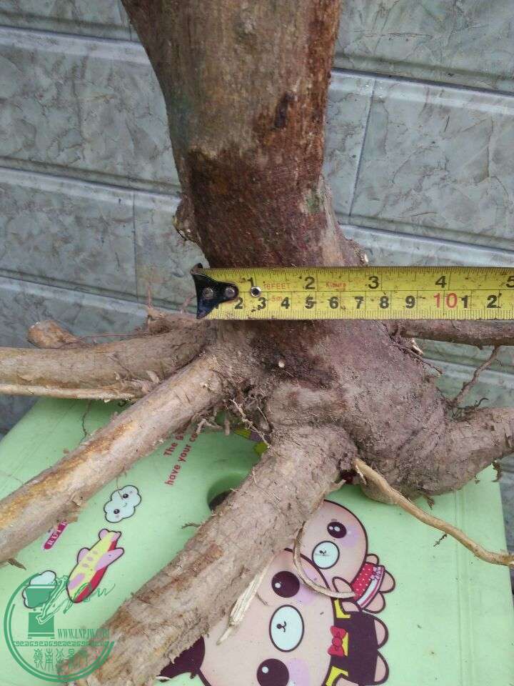 QQͼƬ20160416202406.jpg