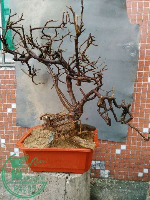 QQͼƬ20160416204254.jpg