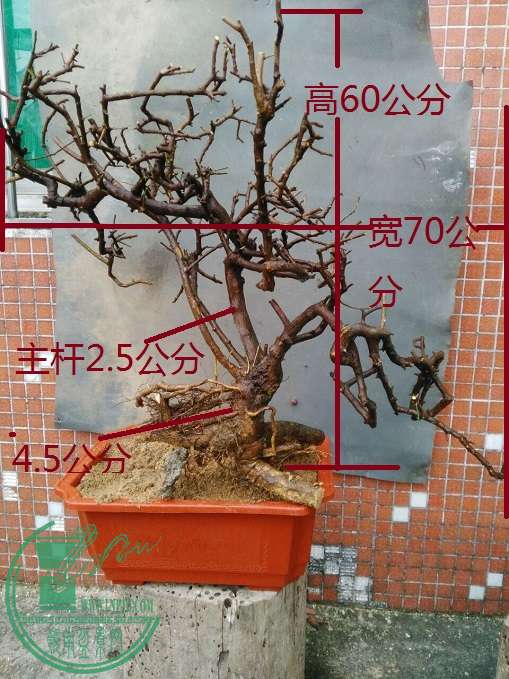QQͼƬ20160416205322.jpg