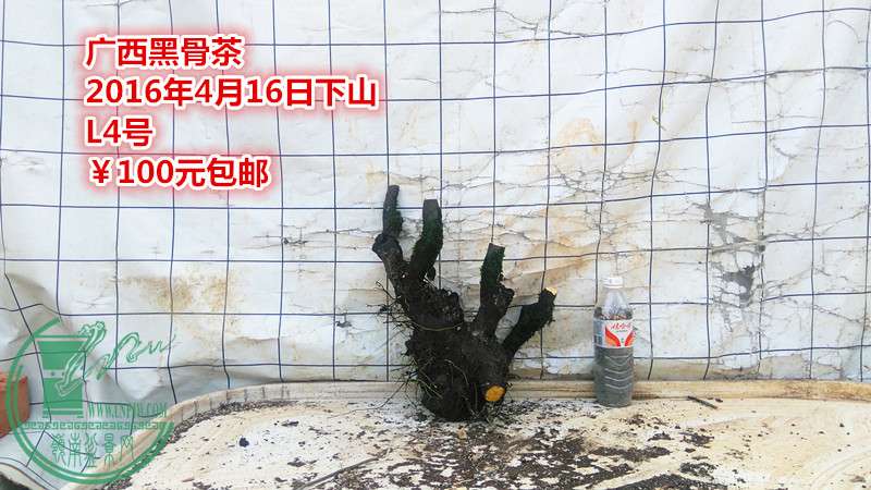 IMG_20160416_141415_.jpg