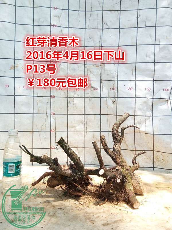 QQͼƬ20160416211346_.jpg