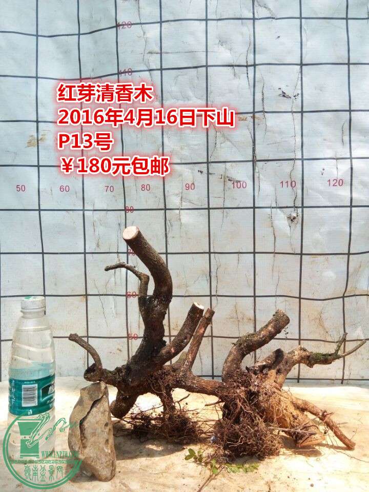 QQͼƬ20160416211350_.jpg
