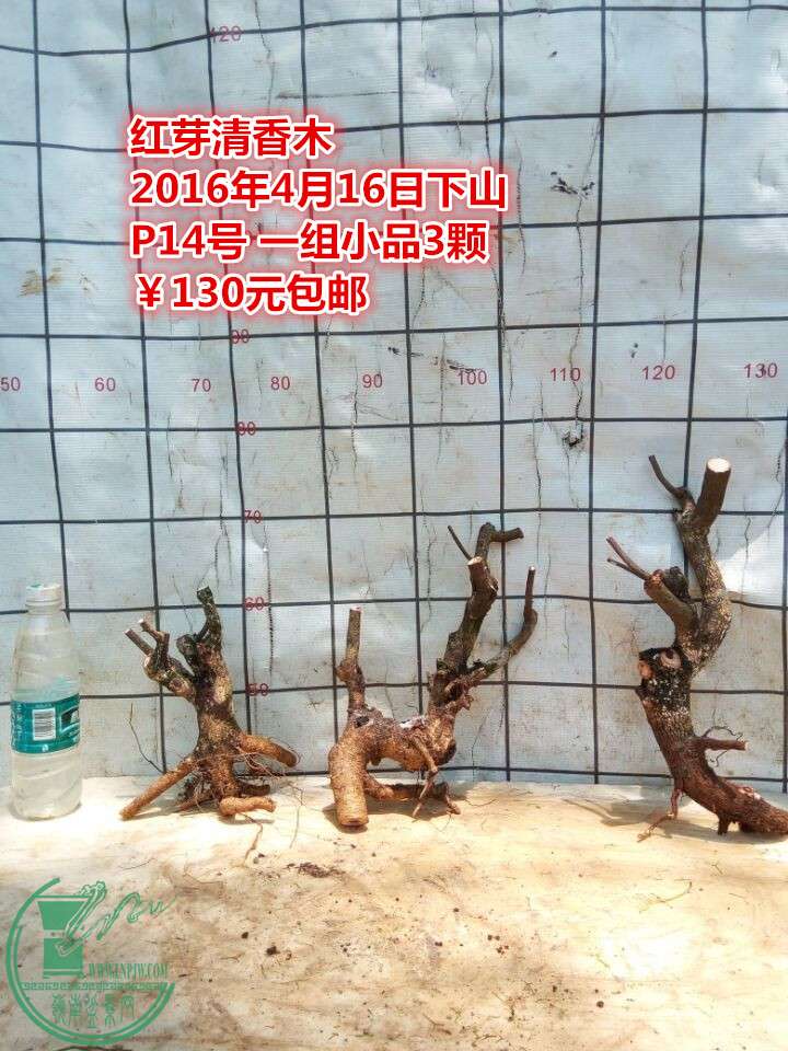 QQͼƬ20160416211352_.jpg