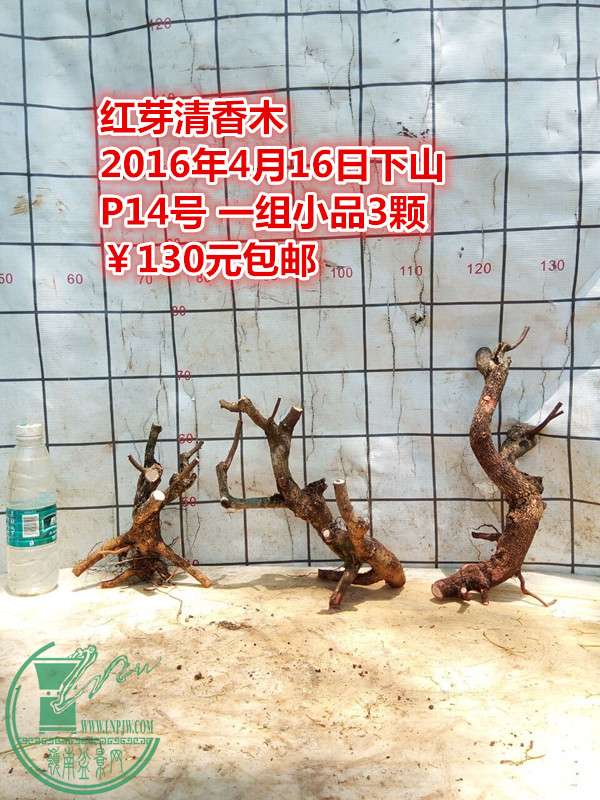 QQͼƬ20160416211358_.jpg