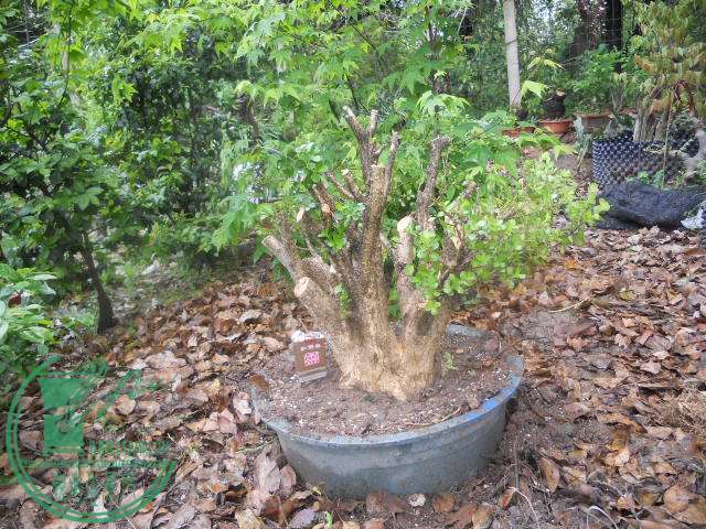 DSCN0023.jpg