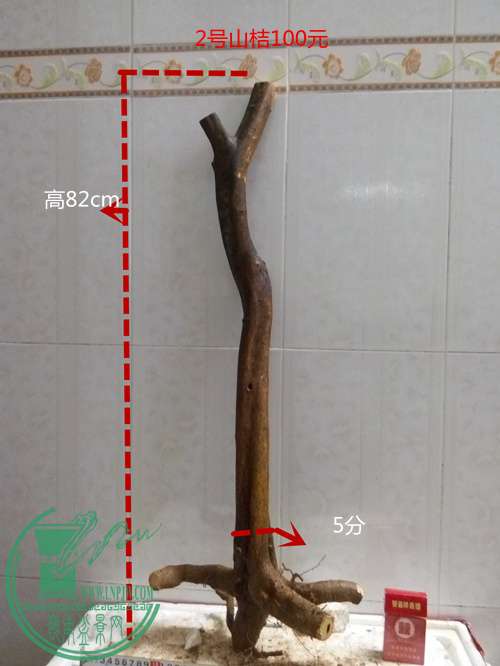 P60417-184904_.jpg