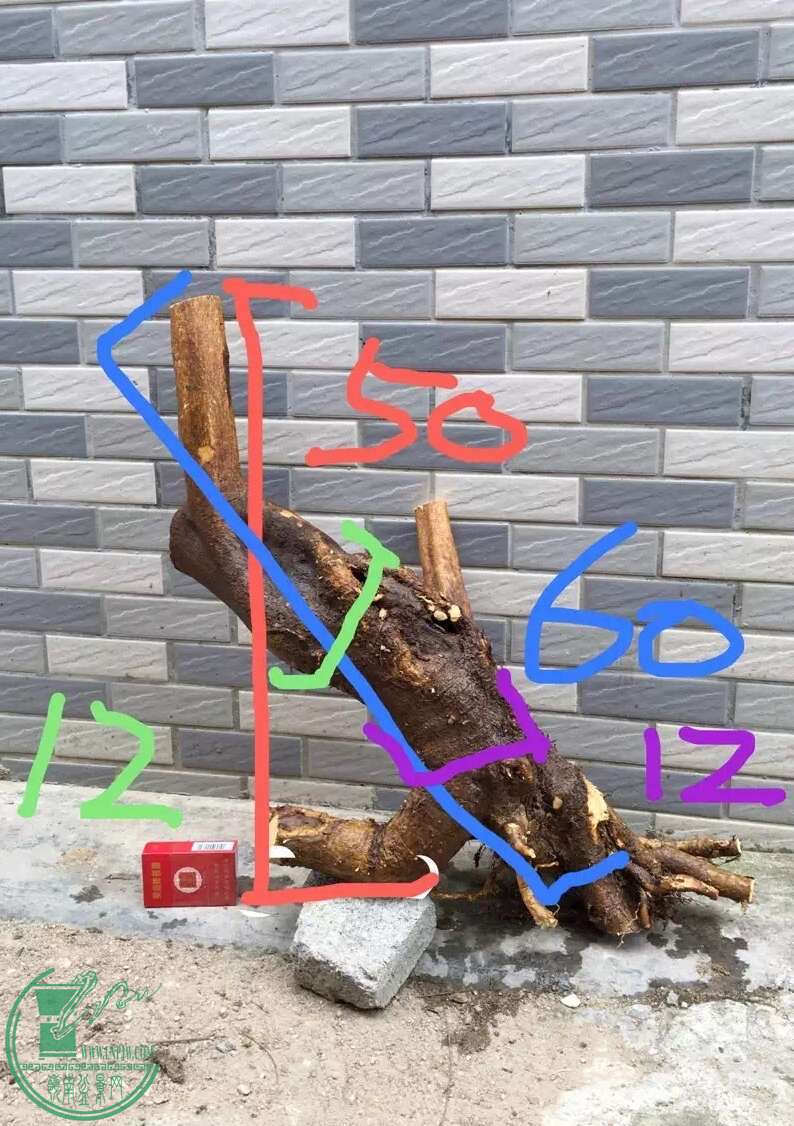 image.jpeg