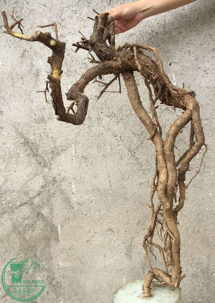 image.jpeg