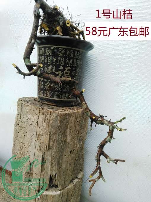 QQͼƬ20160418204311 - .jpg