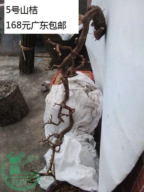 QQͼƬ20160418204907.jpg