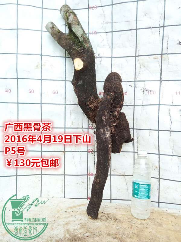 QQͼƬ20160419200717_.jpg