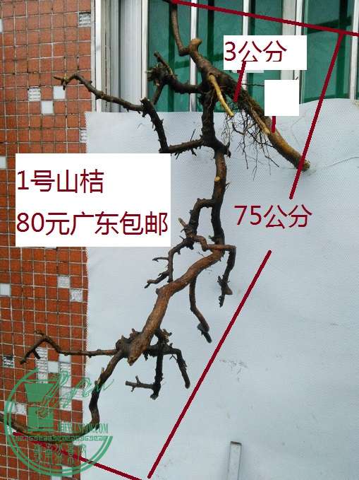 QQͼƬ20160419195853.jpg