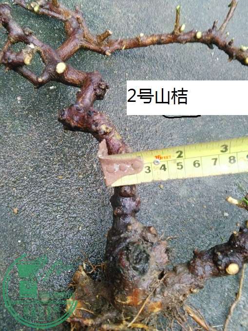 QQͼƬ20160419195859.jpg