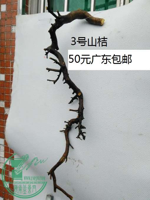 QQͼƬ20160419195913.jpg