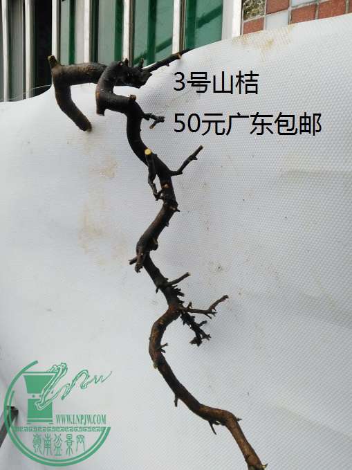QQͼƬ20160419195918.jpg
